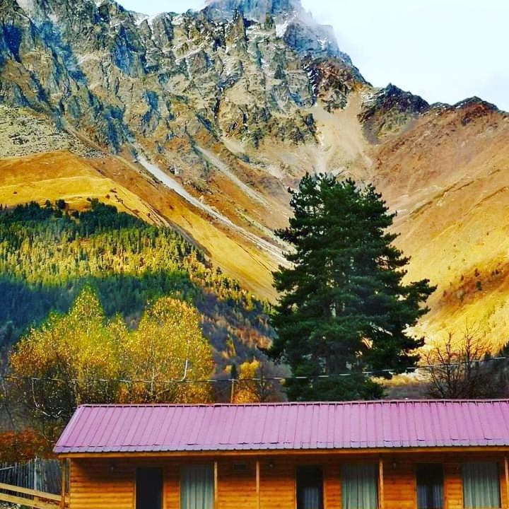 Hotel Ushba Hill Mestia Luaran gambar