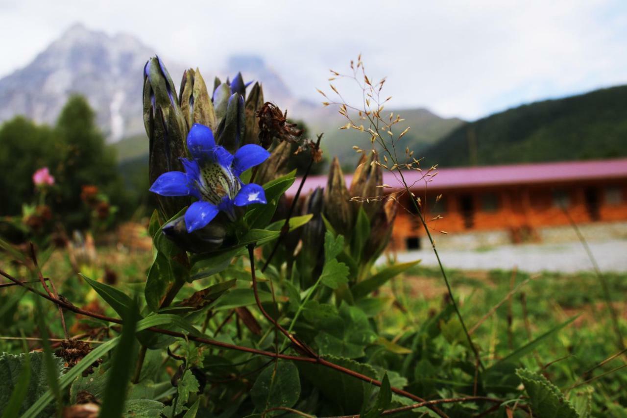 Hotel Ushba Hill Mestia Luaran gambar
